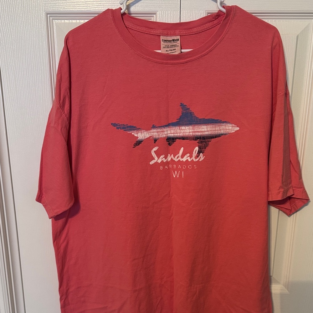 Hanes ComfortWash Coral T-Shirt